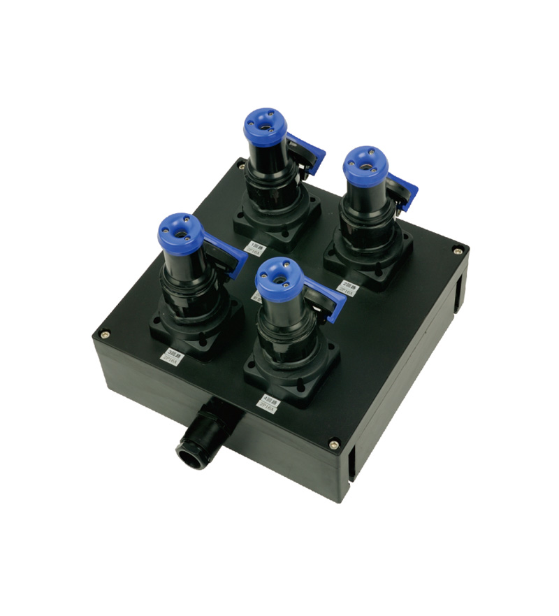 BXX8050系列防爆防腐电源插座箱(柜) (IIC、tD)