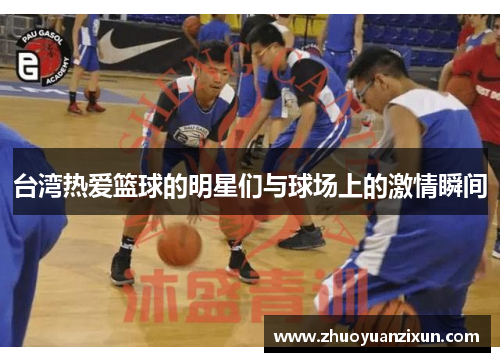 台湾热爱篮球的明星们与球场上的激情瞬间