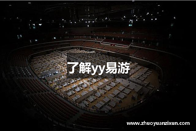 了解yy易游